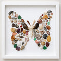 Seashell Butterfly